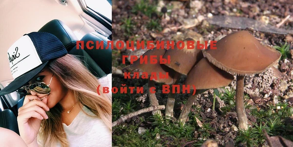 дурь Бугульма