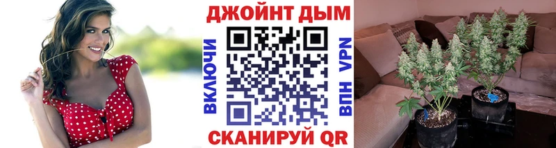 Канабис марихуана  Новоржев 